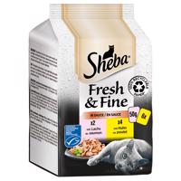 Sheba Fresh & Fine 12 x 50 g - losos a kuracie v omáčke