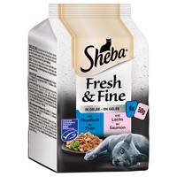 Sheba Fresh & Fine 12 x 50 g - tuniak a losos v želé