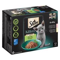 Sheba Kitten variácie kapsičiek 12 x 85 g - fine selection v omáčke (losos; kuracie mäso)