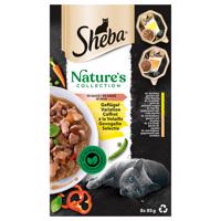 Sheba Nature's Collection v omáčke 32 x 85 g - hydinové variácie