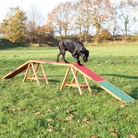 Trixie Dog Activity Agility Bridge - D 456 x Š 30 x V 64 cm