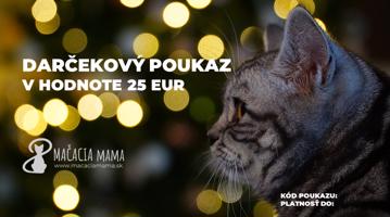 Vianočný darčekový poukaz (aj e-mailom) Veľkosť: 25 €