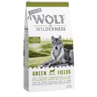 Výhodné balenie 2 x 12 kg Wolf of Wilderness - Senior - Green Fields - jahňacie