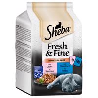 Výhodné balenie 72 x 50 g Sheba Fresh & Fine - rybie variácie