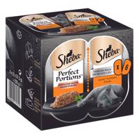 Výhodné balenie Sheba Perfect Portions 48 x 37,5 g - omáčka s morčacím