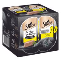 Výhodné balenie Sheba Perfect Portions 48 x 37,5 g - paštéta s kuracím