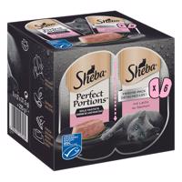 Výhodné balenie Sheba Perfect Portions 96 x 37,5 g - paštéta s lososom